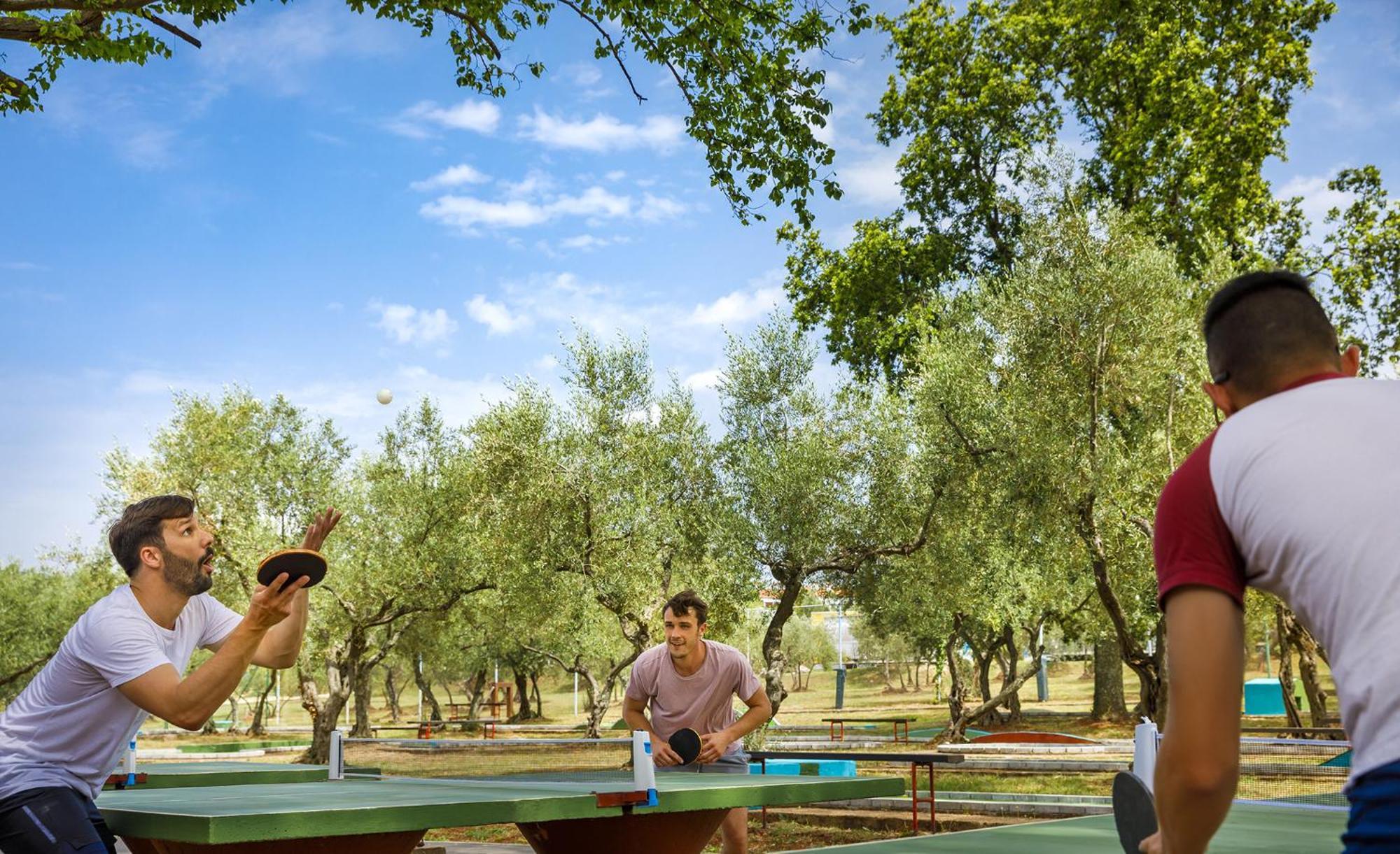 Aminess Planet Camping Maravea Resort - Pitches Novigrad  Ngoại thất bức ảnh