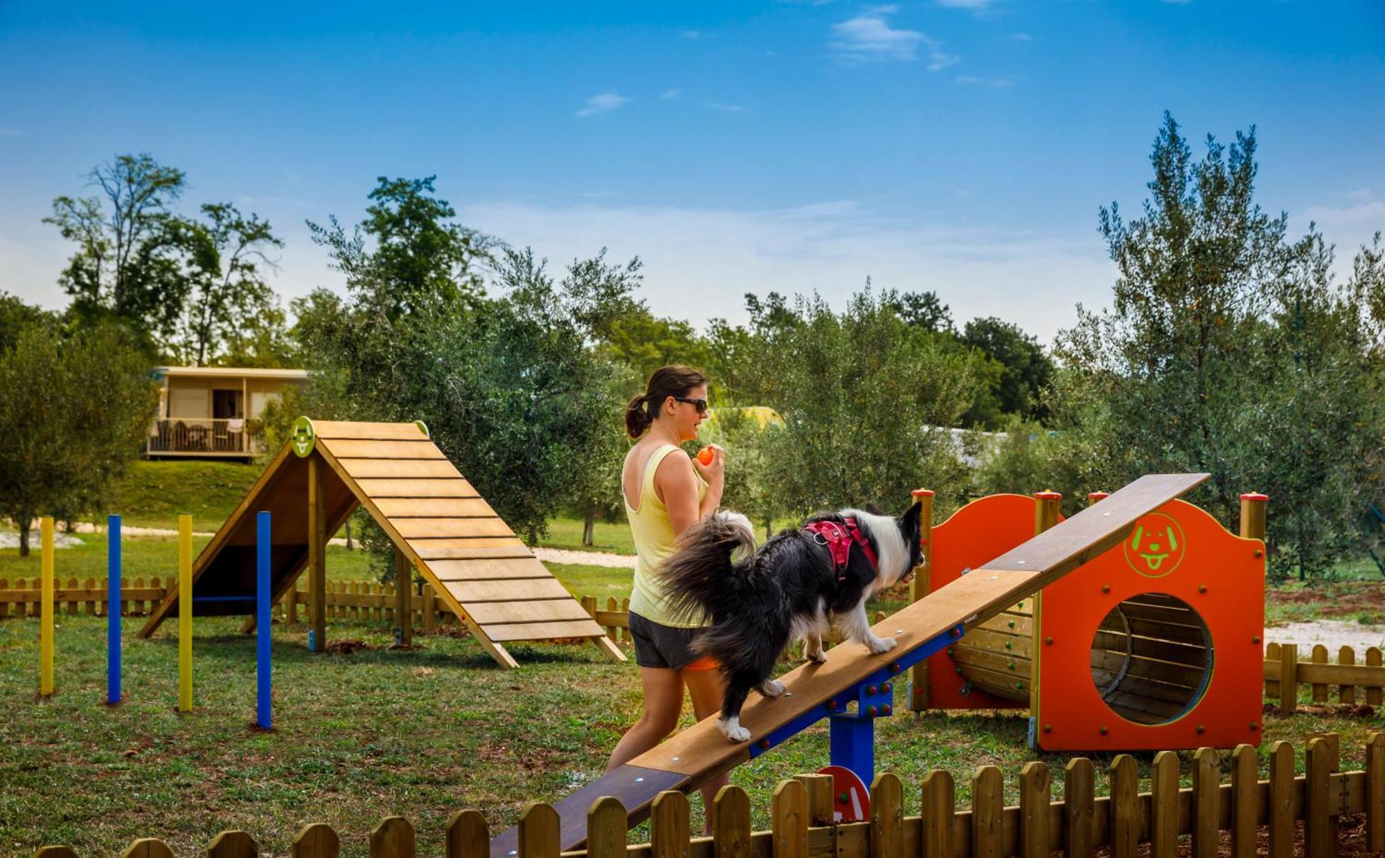 Aminess Planet Camping Maravea Resort - Pitches Novigrad  Ngoại thất bức ảnh